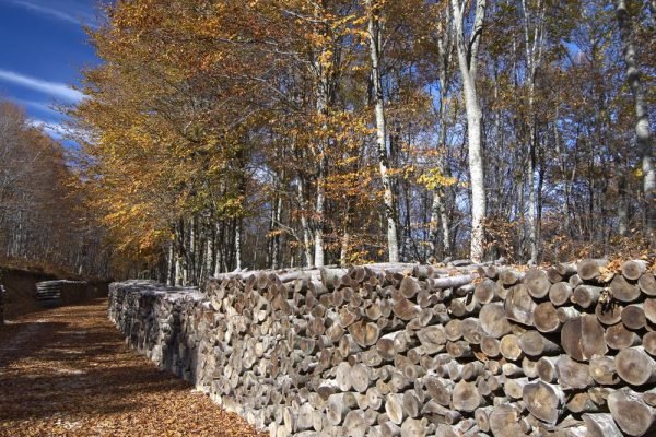 Central-Halkidiki-Holomontas-mountain-2 (HolidayTours)