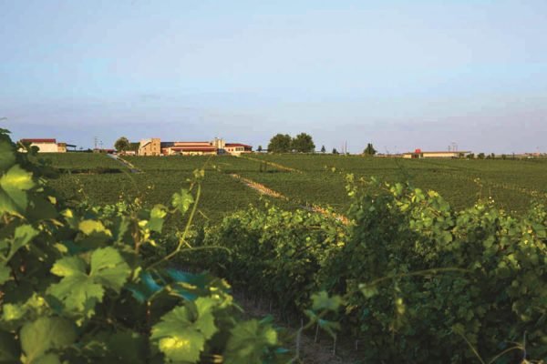 Gerovassiliou_Epanomi_8 (HolidayTours)