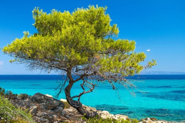 Halkidiki_7---HolidayTours