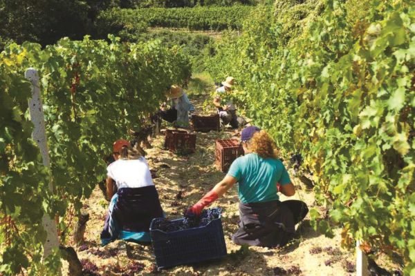 Katsaros_Krania_MtOlympus_2 (HolidayTours)