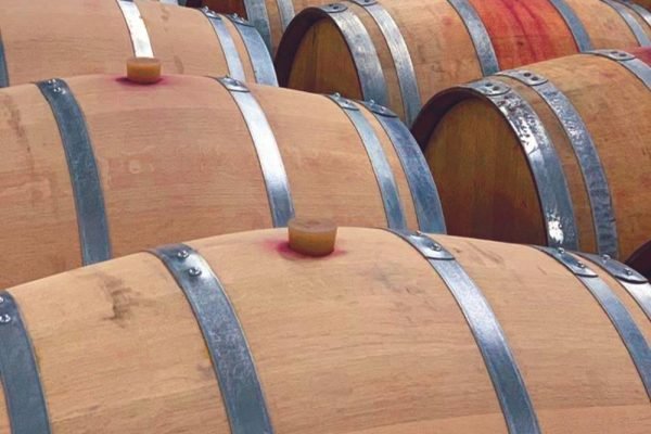 Photo 19-6-20, 20 34 05 (HolidayTours)