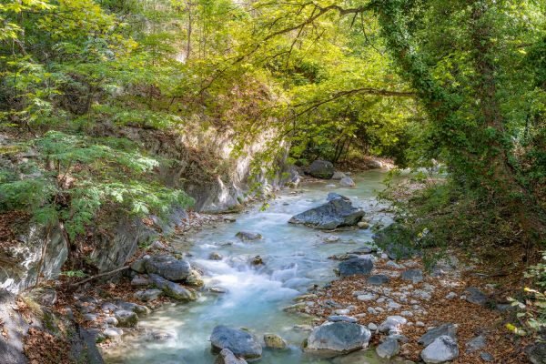 Pozar-01 (HolidayTours)