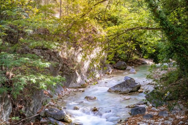 Pozar-02 (HolidayTours)