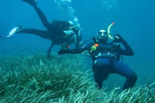 Scuba Diving(Holiday Tours) (2)