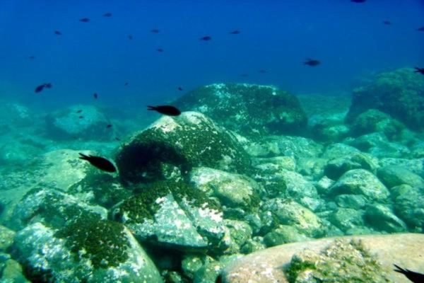 Scuba Diving(Holiday Tours) (4)