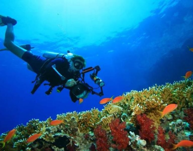 Scuba Diving(Holiday Tours) (7)