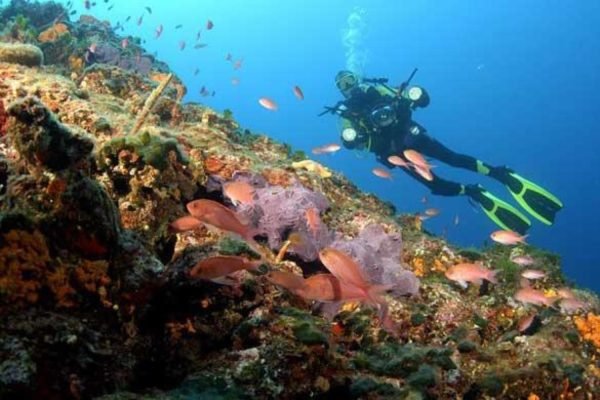 Scuba Diving(Holiday Tours) (8)