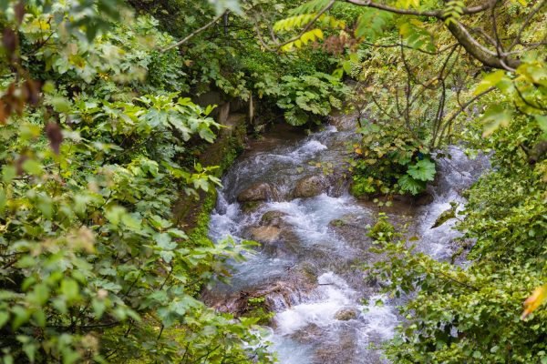 Veroia Vergina-09 (HolidayTours)