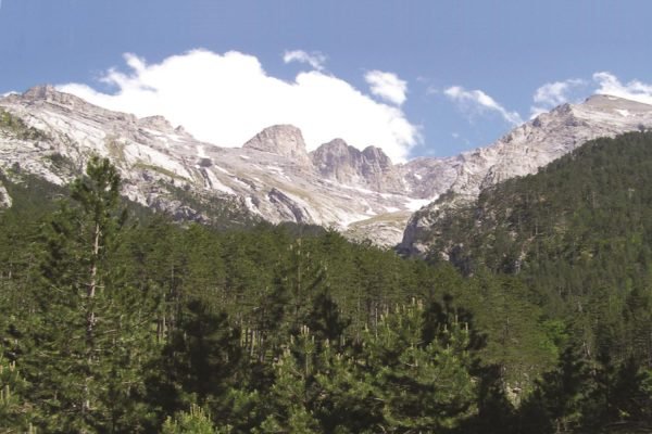 olympos (HolidayTours)