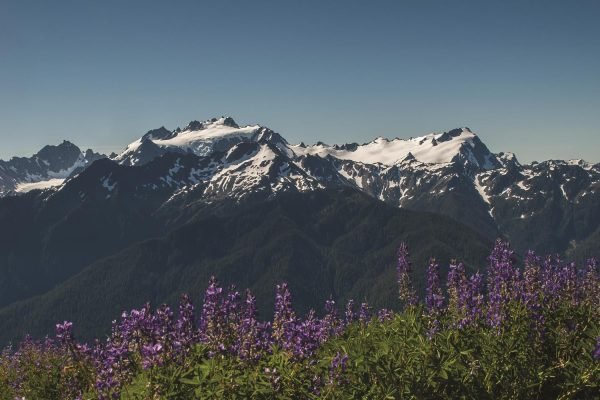 olympos_148471175 (HolidayTours)